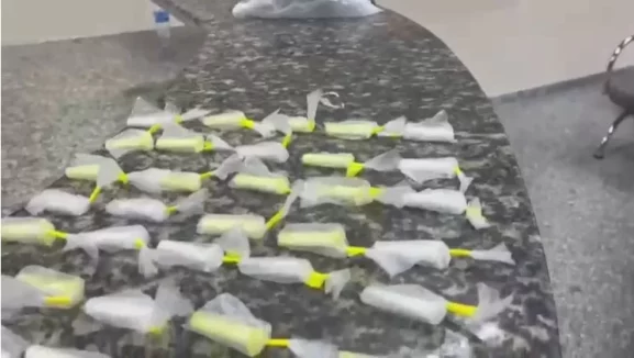 Jovem é conduzido à delegacia por envolvimento com o tráfico de drogas em Unamar, Cabo Frio — RC24H