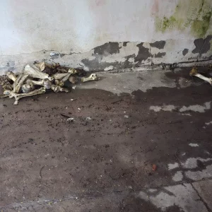 o que a polícia encontrou na casa do médico macabro em Arraial — RC24H