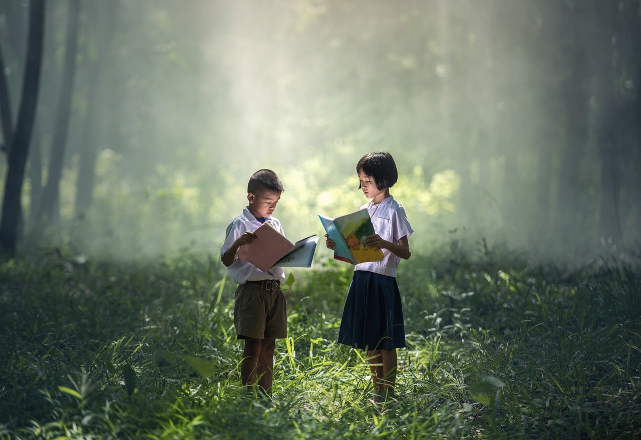 livro natureza criança
