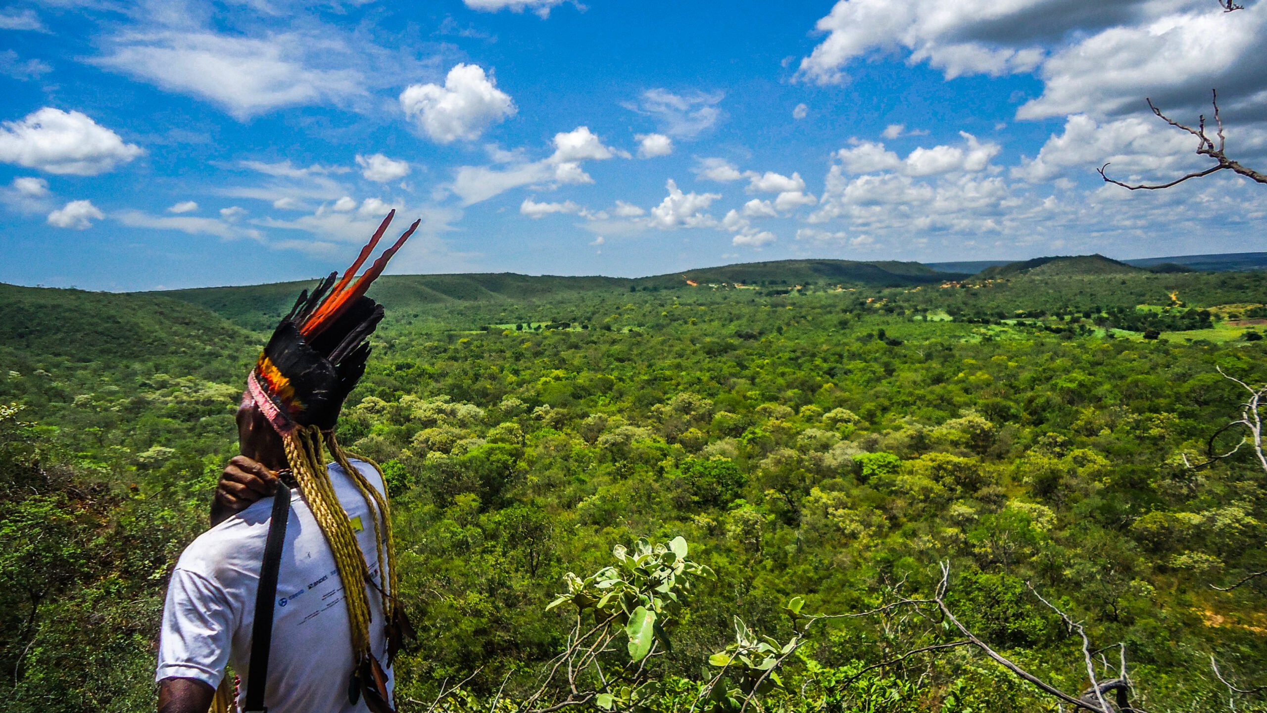 Preservação de biomas é maior onde há indígenas e comunidades tradicionais