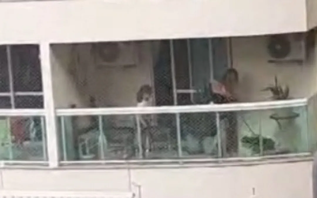 Advogada é presa após ser flagrada agredindo cadela; vídeo | Enfoco