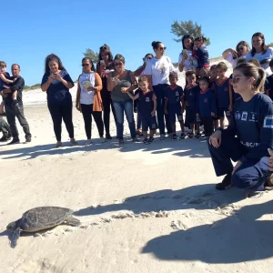 Alunos de Arraial acompanham soltura de tartaruga-verde em Araruama — RC24H