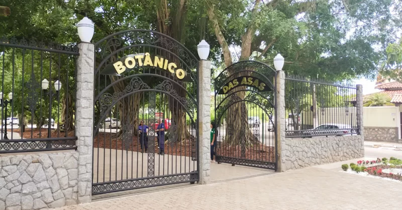 Araruama promove Semana do Meio Ambiente com programação educativa e sustentável — RC24H