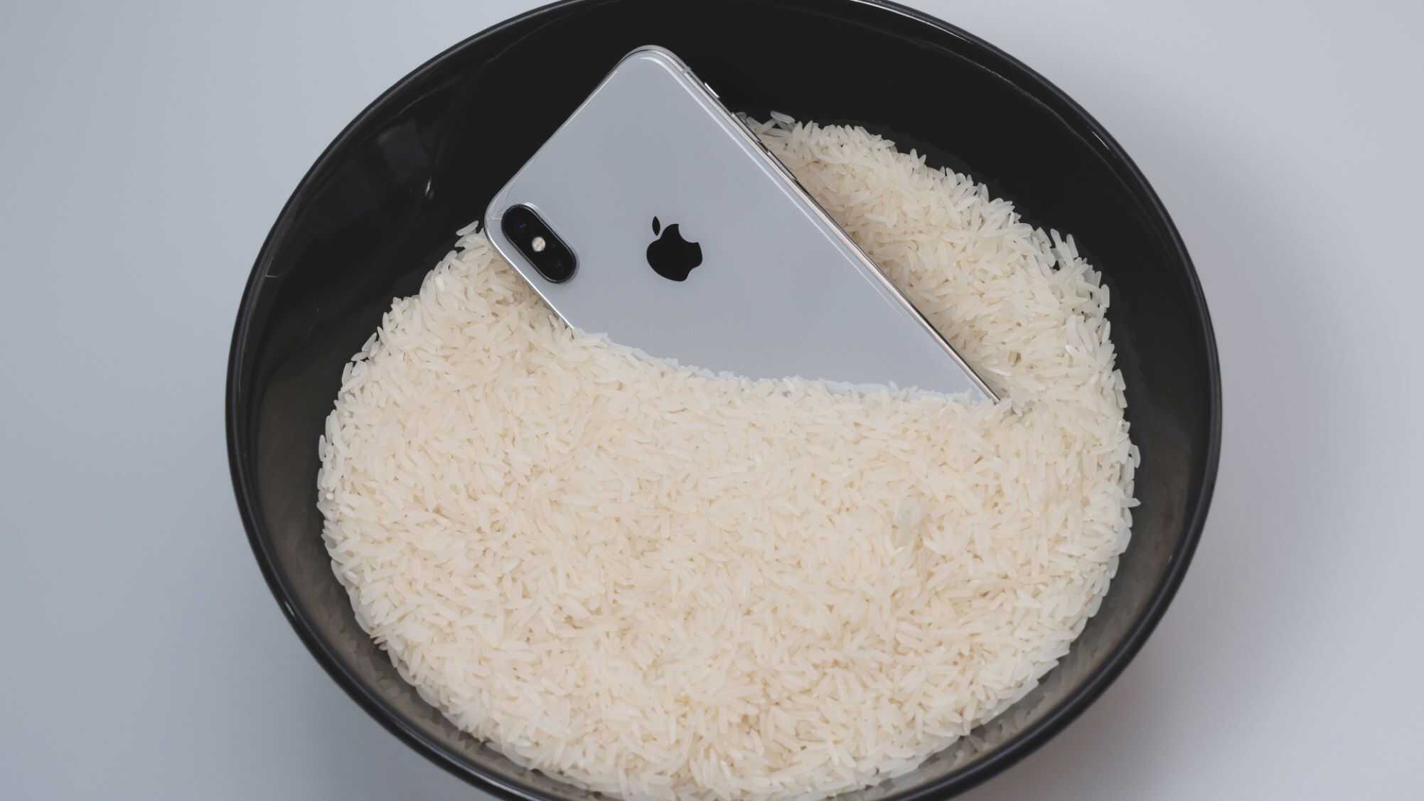 Seu celular caiu na água? Veja o que diz a Apple sobre colocá-lo no arroz