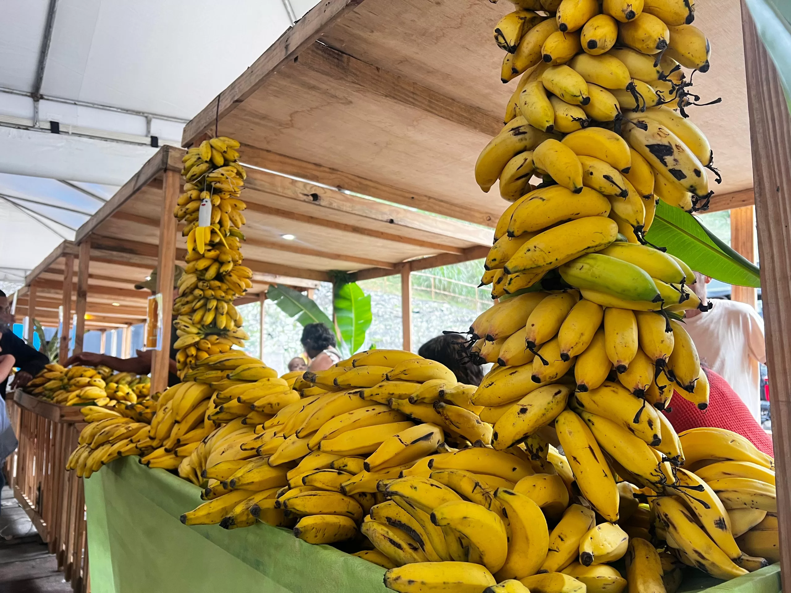 Araruama sedia reunião sobre financiamento agrícola com foco em pequenos e médios produtores — RC24H
