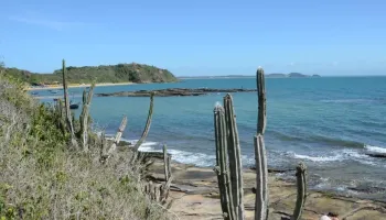 Búzios promove Circuito Geológico e limpeza no Costão da Ponta da Cruz neste sábado (14) — RC24H