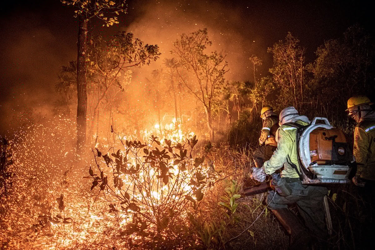Amazônia desmatamento