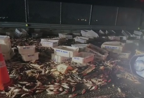 Carreta carregada de peixe tomba na Via Lagos e interdita faixas nos dois sentidos em Iguaba Grande