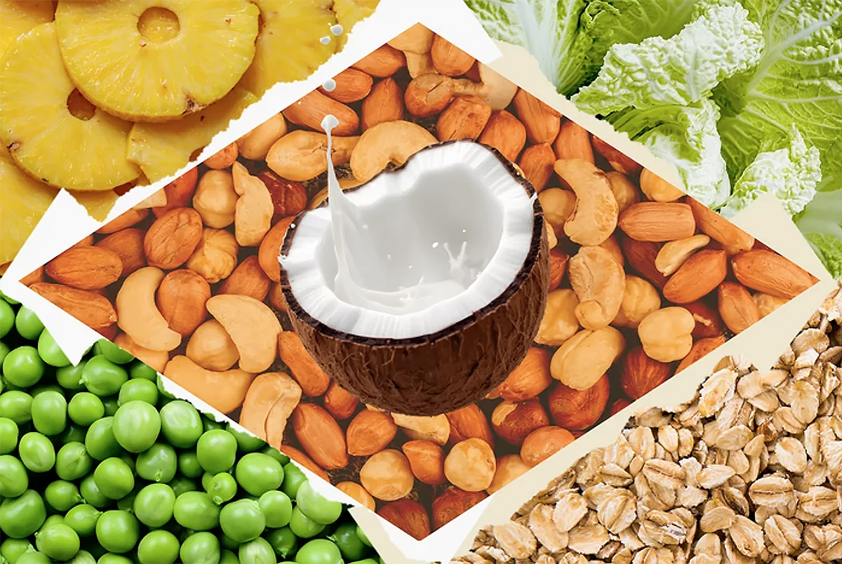 alimentação vegana