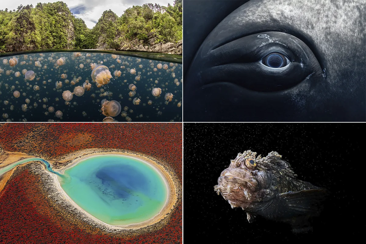fotos dos oceanos
