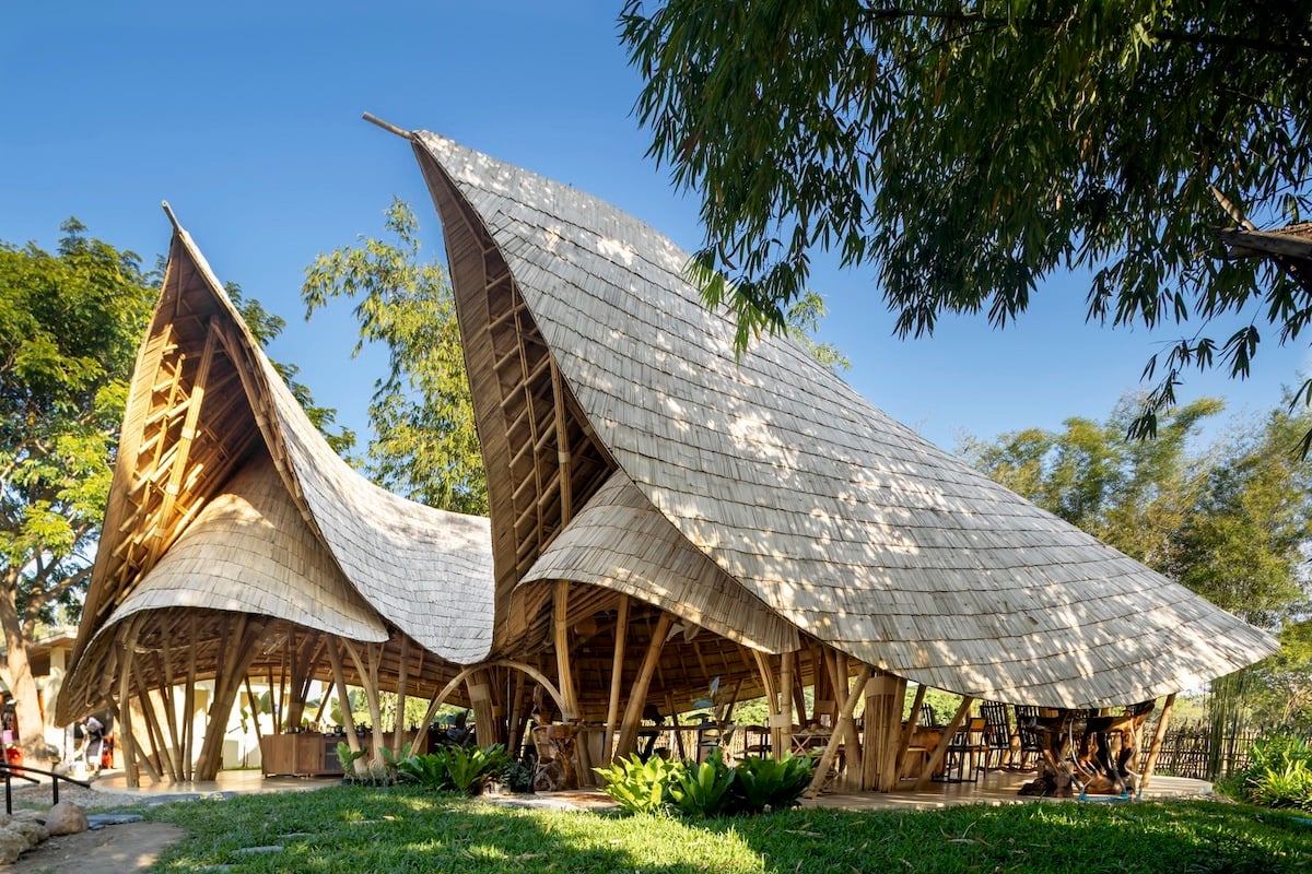 escola bambu
