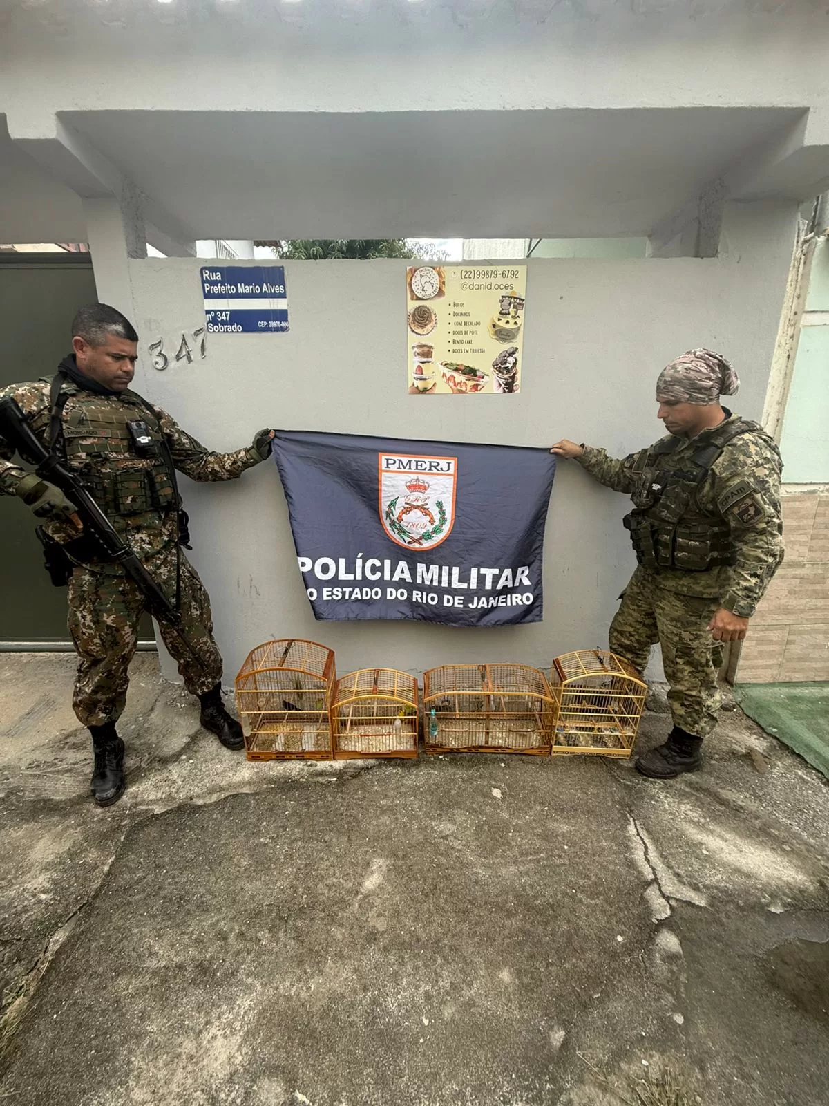 Polícia Ambiental resgata quatro pássaros silvestres mantidos ilegalmente em Araruama — RC24H