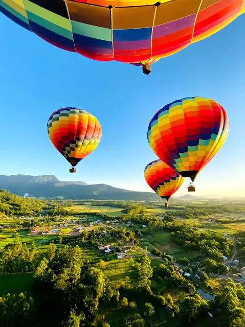 whatsapp-image-2025-06-05-at-15.48.37-3.webp.webp