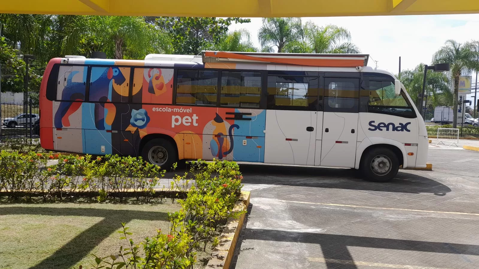 Senac RJ oferece 50 vagas em cursos gratuitos para o setor pet em Búzios — RC24H
