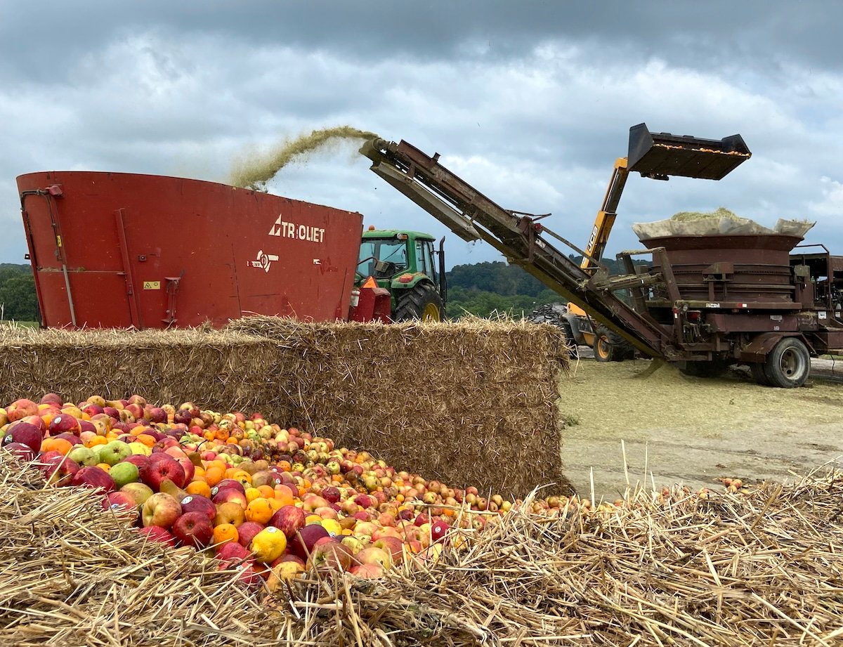 Reciclagem alimentar ajuda a reduzir emissões