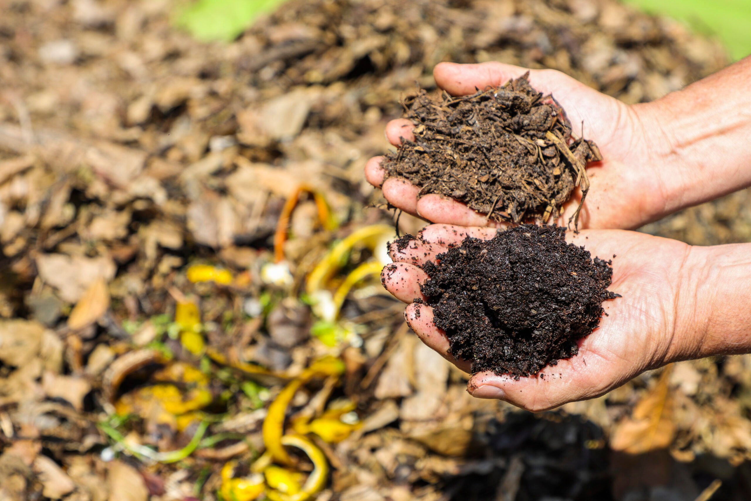 Reciclagem de alimentos ajuda a reduzir emissões