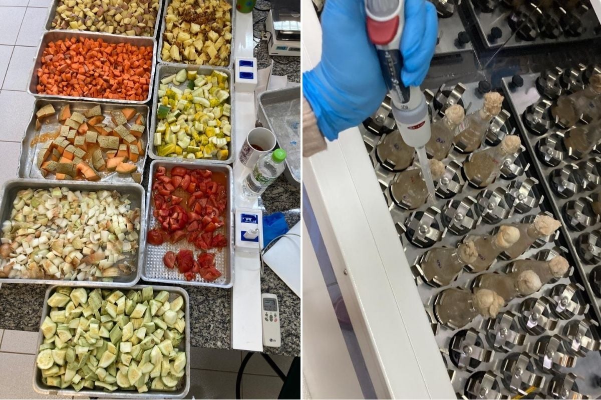 Resíduos de alimentos que viram biocombustível e ração