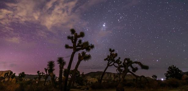 A aurora boreal ilumina o céu acima do Parque Nacional Joshua Tree durante a chuva de meteoros Perseidas, na Califórnia