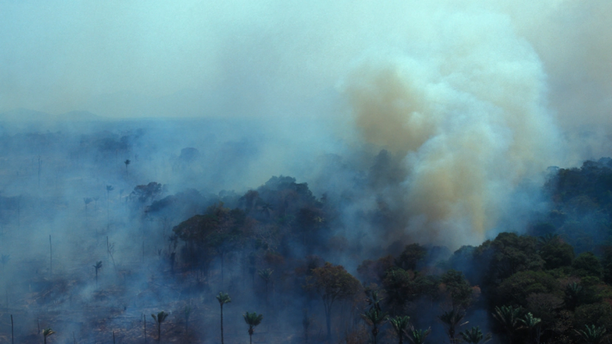 mudanças climáticas queimadas
