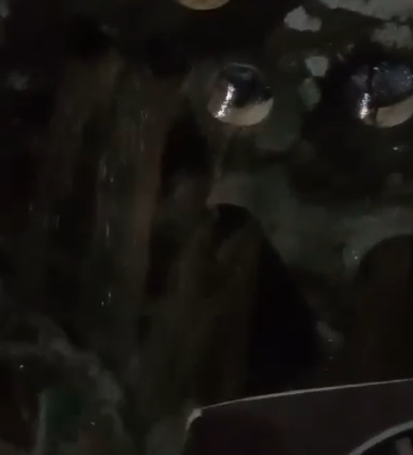 VÍDEO: Condomínio dos Pássaros, em Cabo Frio, despeja água pluvial ilegal e prejudica moradores da Vila Peró