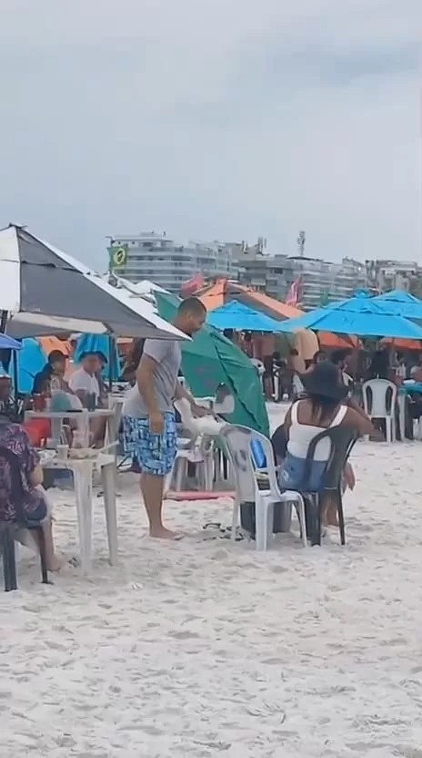 Homem é flagrado segurando gaivota na Praia do Forte, em Cabo Frio — RC24H