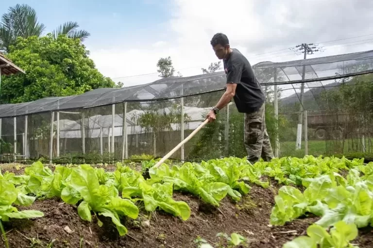 Produtores rurais de Cabo Frio terão palestras gratuitas sobre crédito rural nesta terça (23) — RC24H