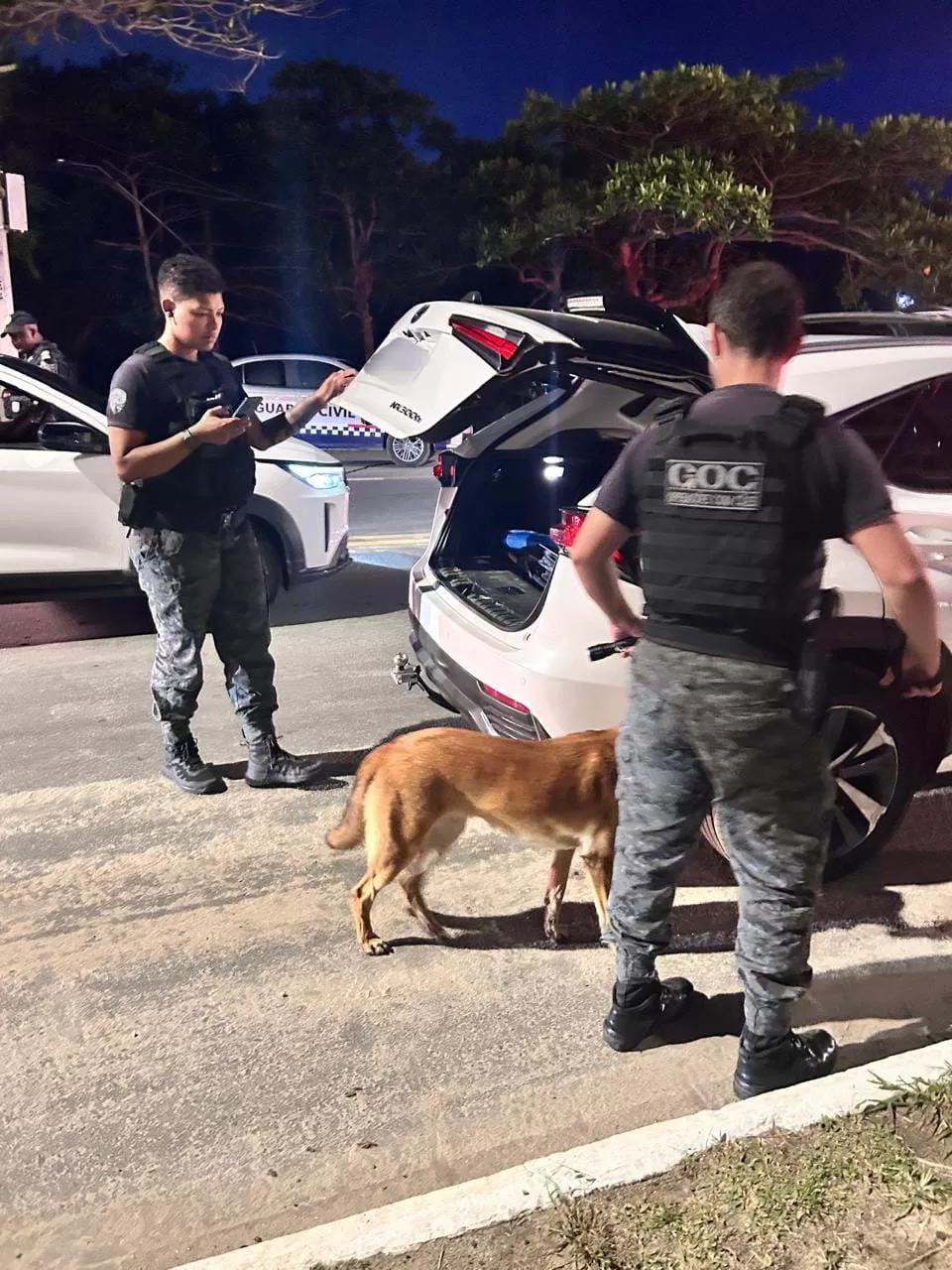 Prefeitura intensifica fiscalizações em Arraial do Cabo — RC24H