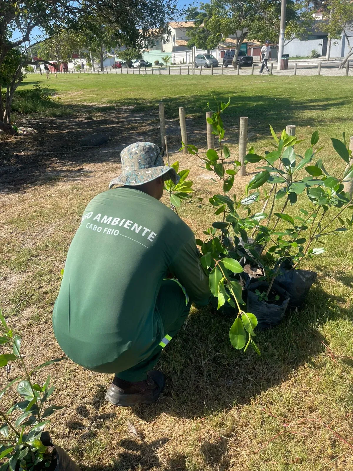 Cabo Frio realiza replantio de mudas de mangue na Praia das Palmeiras