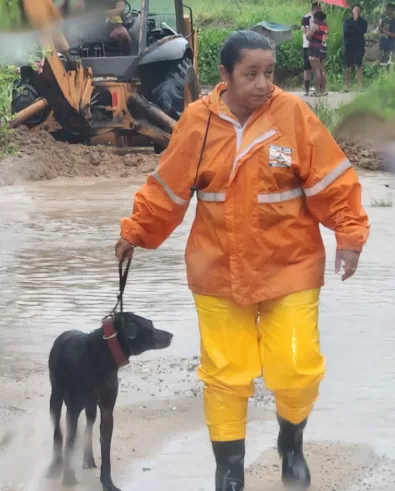 Prefeitura mantém ações em todos os distritos de Araruama — RC24H