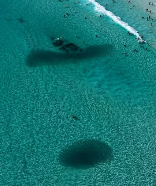 Mar azul da Praia Grande vira cenário para encontro com cardumes em Arraial do Cabo — RC24H