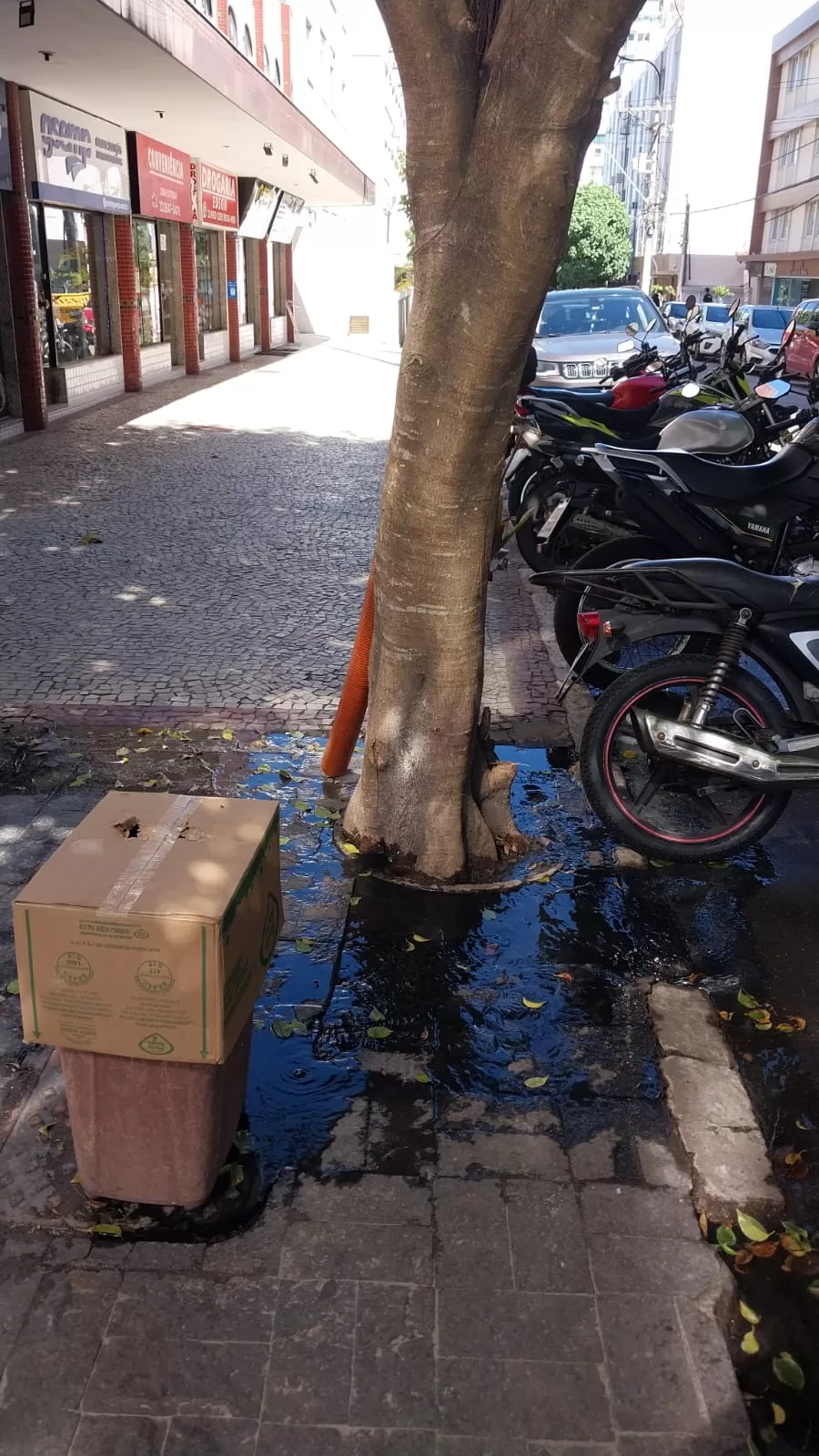 Moradores reclamam de esgoto a céu aberto há quase 3 semanas em rua movimentada de Cabo Frio — RC24H