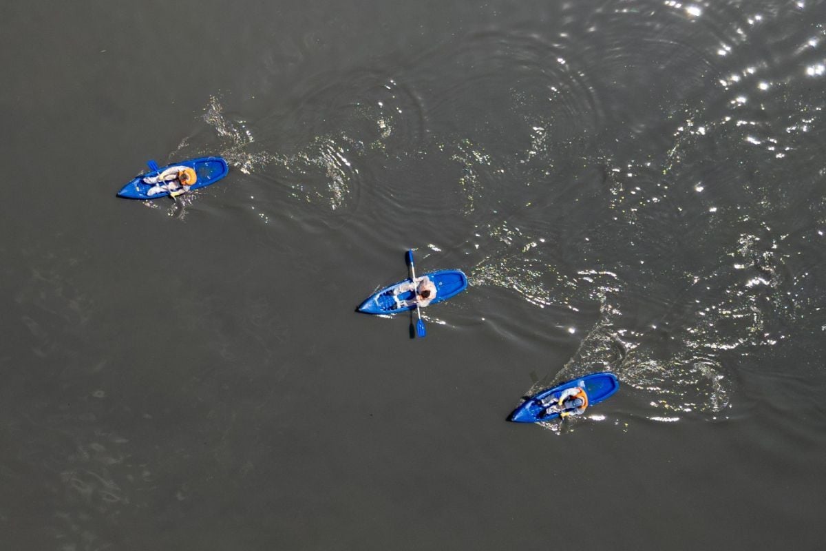 rios mata atlântica