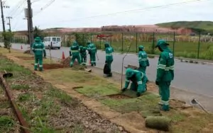 Ambiente começa plantio de 200 mudas de árvores frutíferas em Imboassica