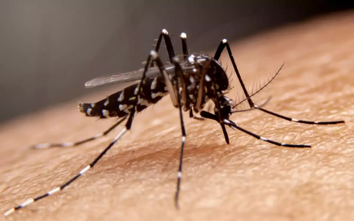 Todos Contra a Dengue: Prefeitura de Araruama alerta moradores sobre as medidas de combate à proliferação do Aedes aegypt | Araruama