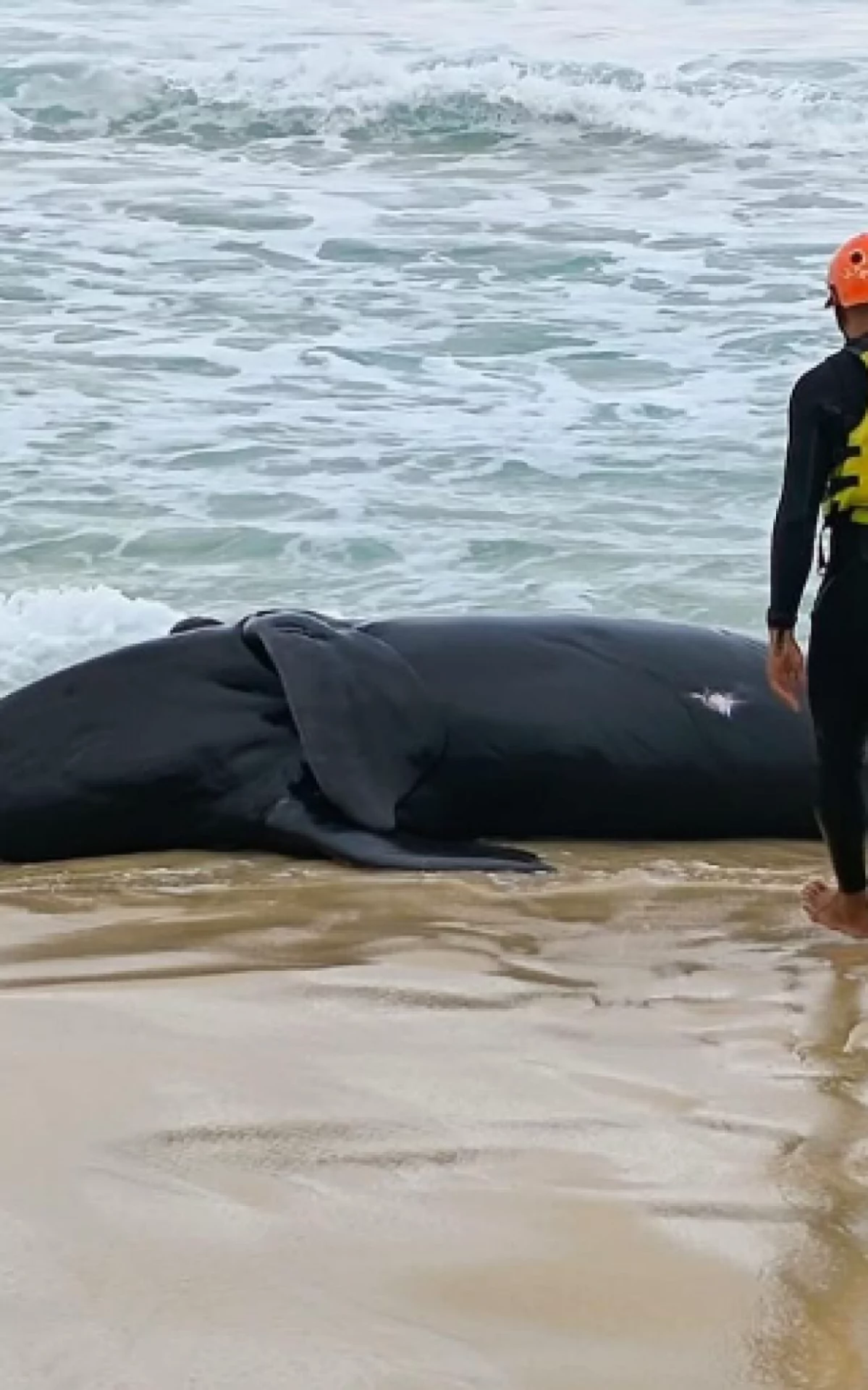 Cabo Frio: Vídeos flagram casais fazendo sexo em roda-gigante do Cabofolia,  carnaval fora de época em Cabo Frio | Guia Região dos Lagos