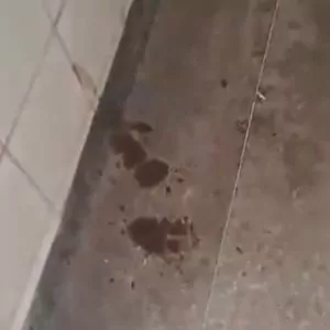 spot_img