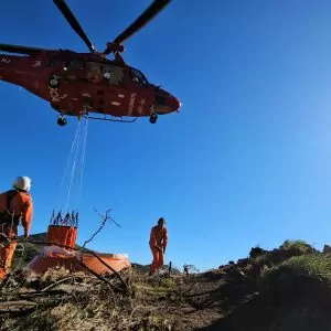 Incêndios florestais: São Gonçalo entre cidades mais afetadas | Enfoco