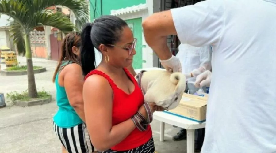 Cabo Frio inicia campanha de vacinação contra a raiva em Tamoios, neste sábado (14)
