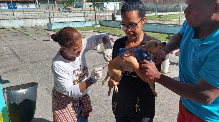 Cabo Frio: Vacinação contra raiva será no Jardim Esperança neste sábado (21)