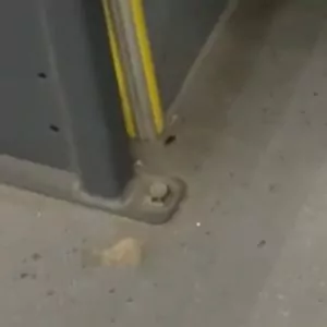 spot_img