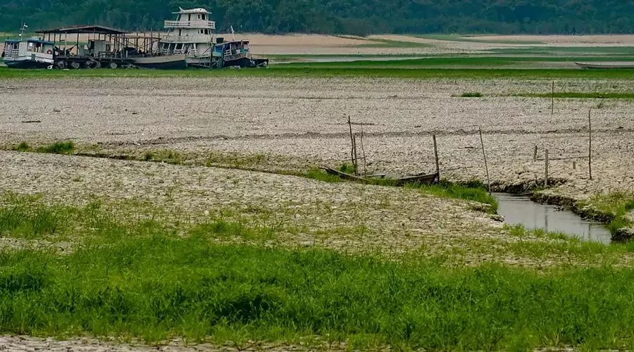 Mudanças climáticas podem afetar liberação e absorção de metano na Amazônia