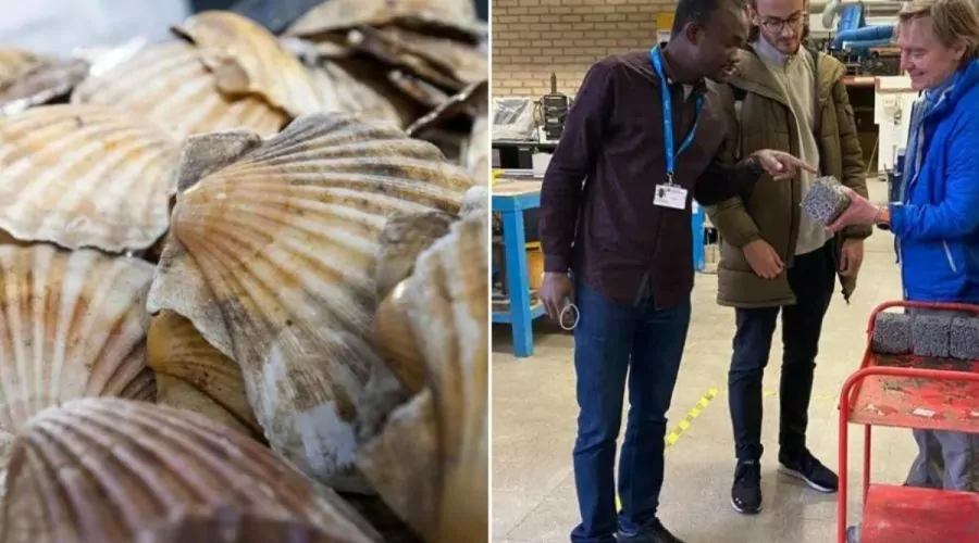 Concreto poroso é criado com conchas