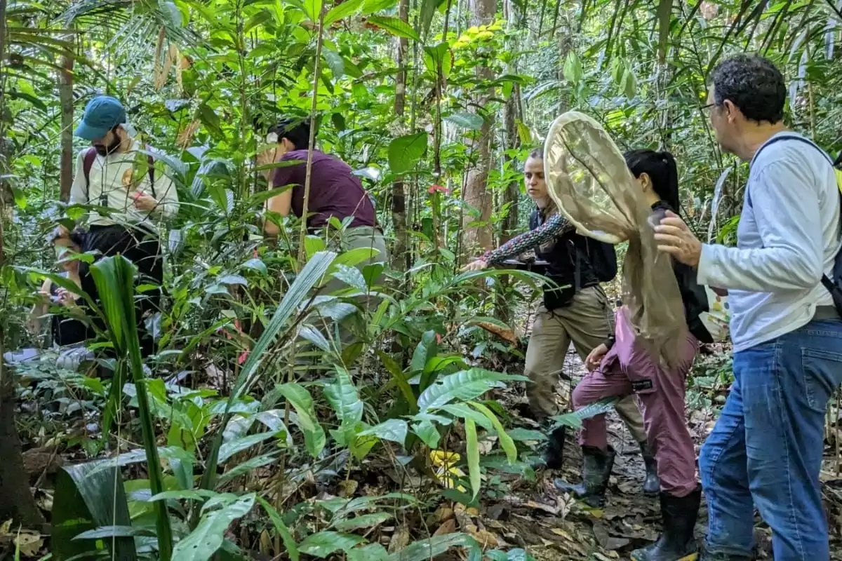 Curso ecologia