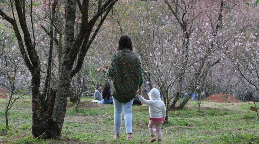 Parque do Carmo (SP) promove evento Final de Semana Sustentável