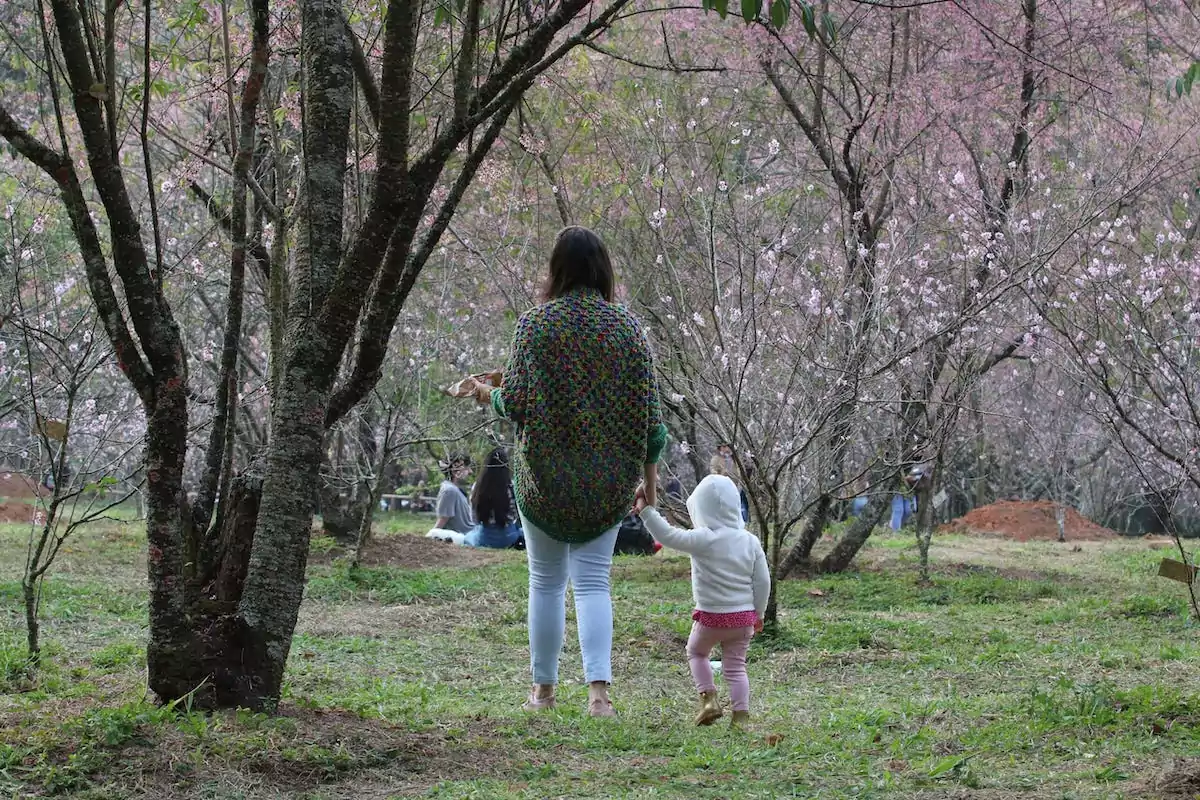 Parque do Carmo Fim de Semana Sustentável
