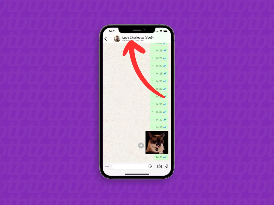 Acessando os dados do contato no WhatsApp