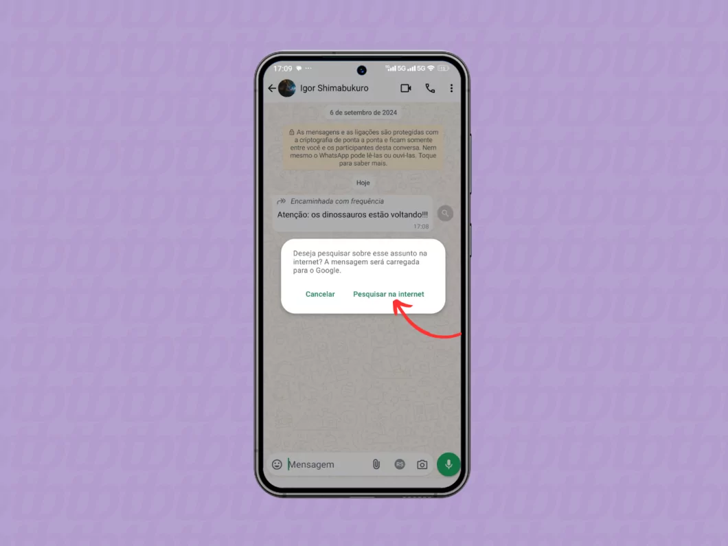 Usando o recurso "Pesquisar na Internet" do WhatsApp