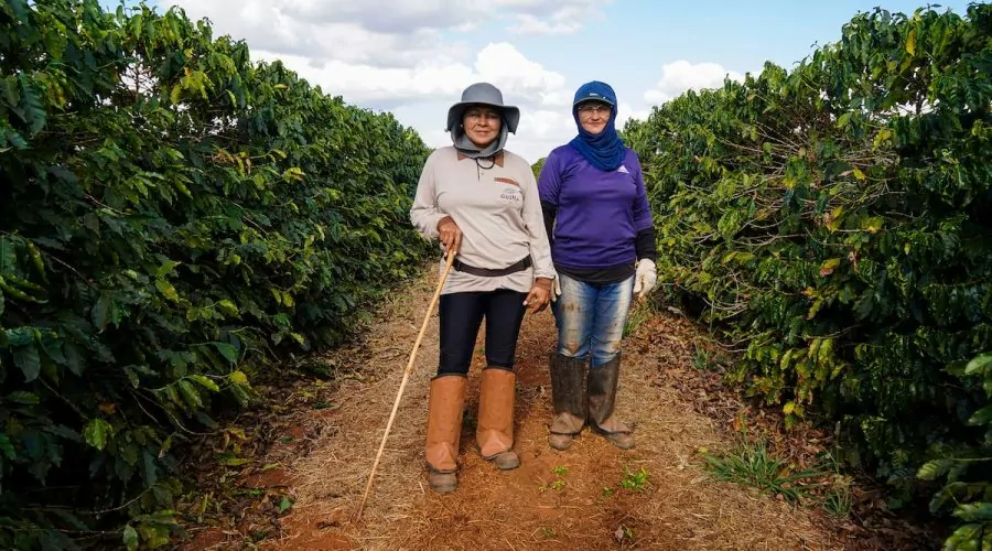 Cultivo sustentável é assunto de mostra em São Paulo