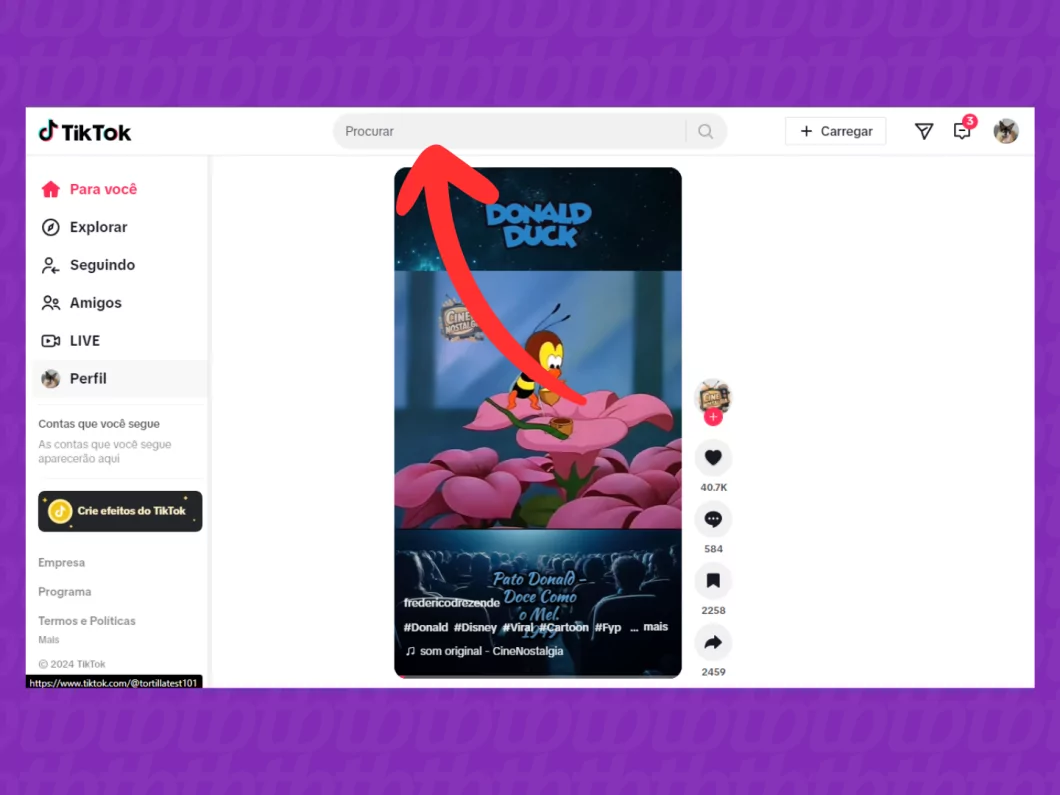 Captura de tela do site TikTok mostra como acessar o campo de busca