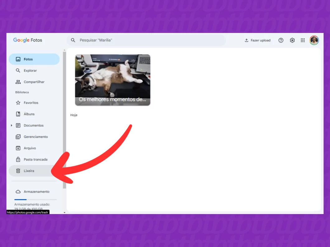 Captura de tela do site Google Fotos acessando a Lixeira